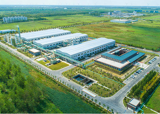 首页| 和记H88集团怡情博娱官网